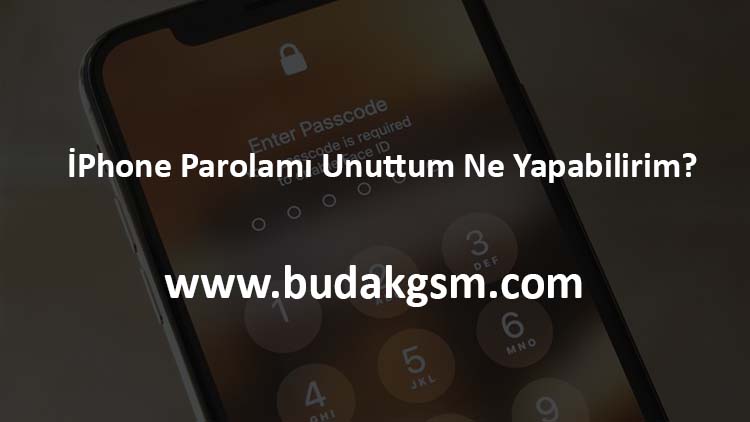 İPhone Parolamı Unuttum Ne Yapabilirim?