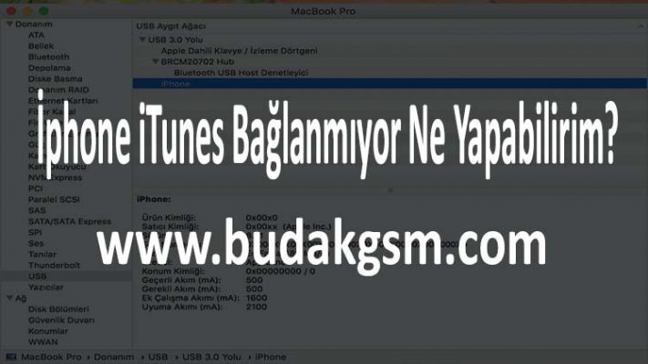 İphone iTunes Bağlanmıyor Ne Yapabilirim?